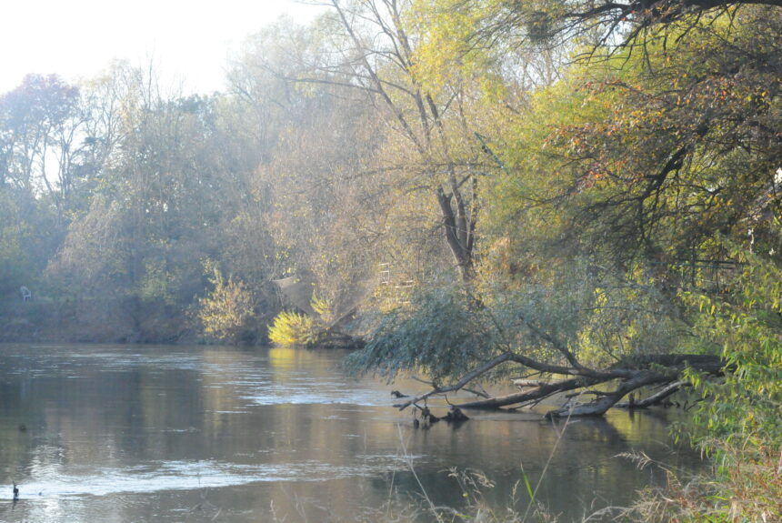 Altarm Thaya Auen im Herbst