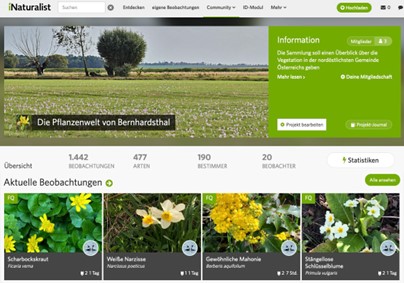 Die Dokumentation von Wildblumen in Bild und Beschreibung wird auf der Internet Seite von iNaturalist gesammelt und öffentlich gemacht