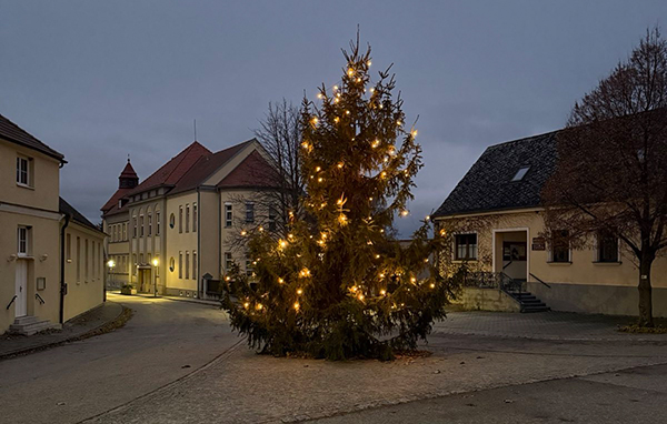 Beleuchteter Weihnachtsbaum am Museumsplatz in Bernhardsthal