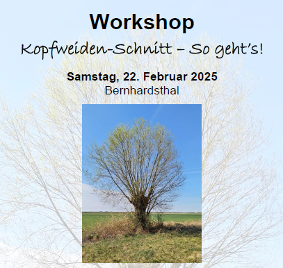 Workshop Kopfweiden Schnitt