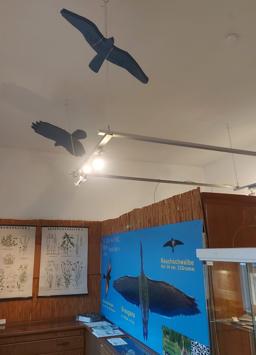 Vielfalt an Vögeln und anderen Tieren und Pflanzen im Museum aus den Feldern und Auen in Bernhardsthal