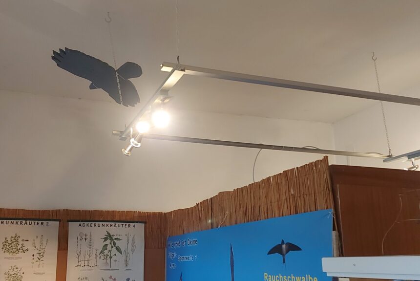 Vielfalt an Vögeln und anderen Tieren und Pflanzen im Museum aus den Feldern und Auen in Bernhardsthal