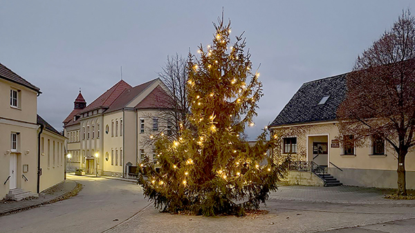 Adventmarkt mit Weihnachtsbaum am Museumsplatz Adventmarkt mit Weihnachtsbaum am Museumsplatz